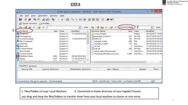 ssh secure file transfer client uga