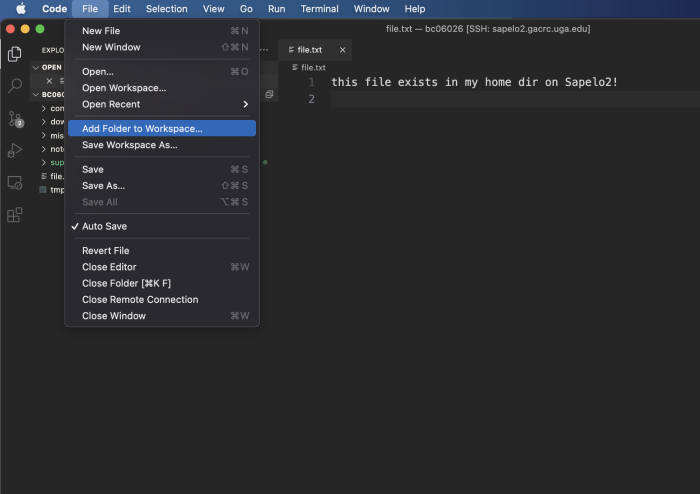 Vscode add dir.png